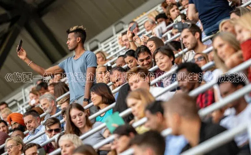 333体育app官方最新版本功能介绍彩讯股份《临夏一级足球运动员：揭秘他们的职业生涯与成就》