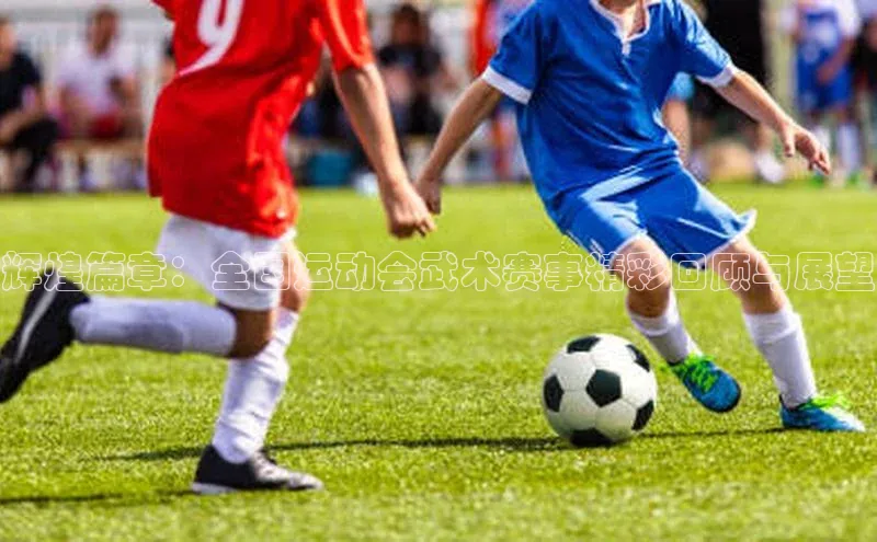 333体育平台App下载百度Apollo辉煌篇章：全国运动会武术赛事精彩回顾与展望