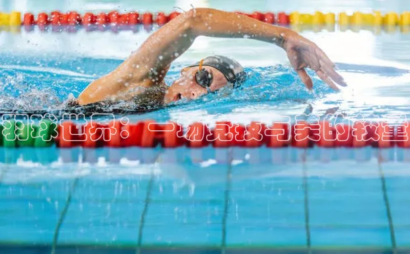 羽球世界：一场竞技与美的较量