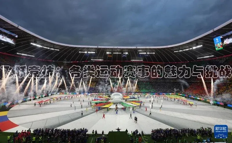 飞跃竞技：各类运动赛事的魅力与挑战