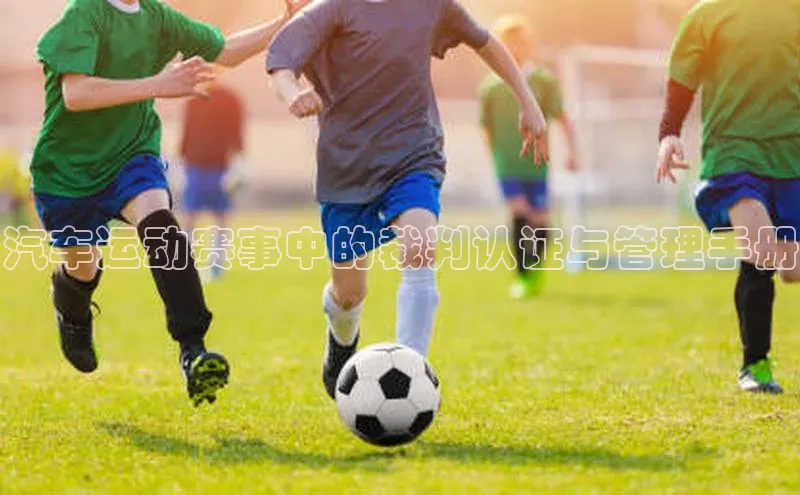 汽车运动赛事中的裁判认证与管理手册