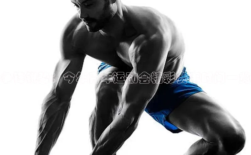 333体育平台app台登录