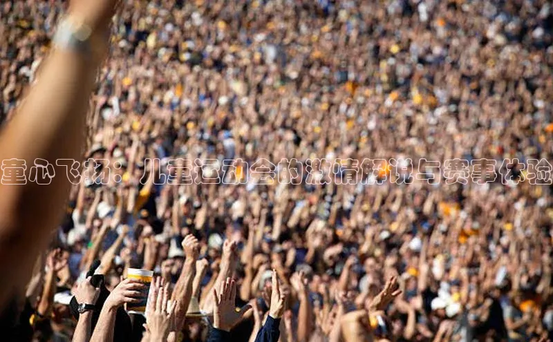 童心飞扬：儿童运动会的激情解说与赛事体验