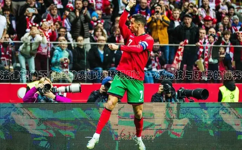 法律视角下的运动赛事现场规则：一场竞技与秩序的博弈