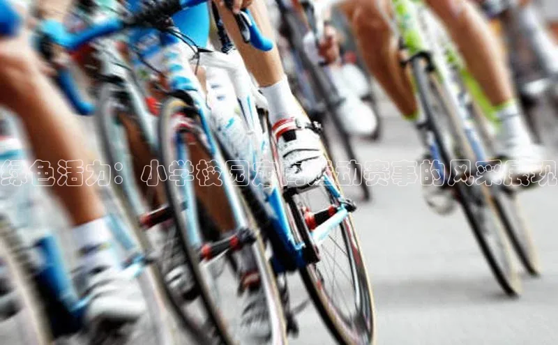 绿色活力：小学校园定向运动赛事的风采展现