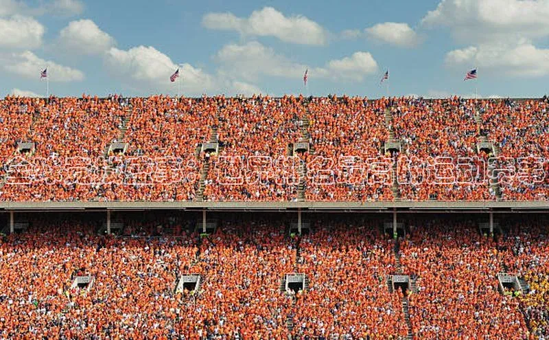 全球竞技盛事：世界排名最高的运动赛事