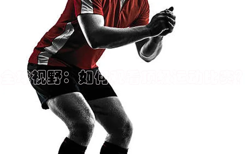 全球视野：如何观看顶级运动比赛？