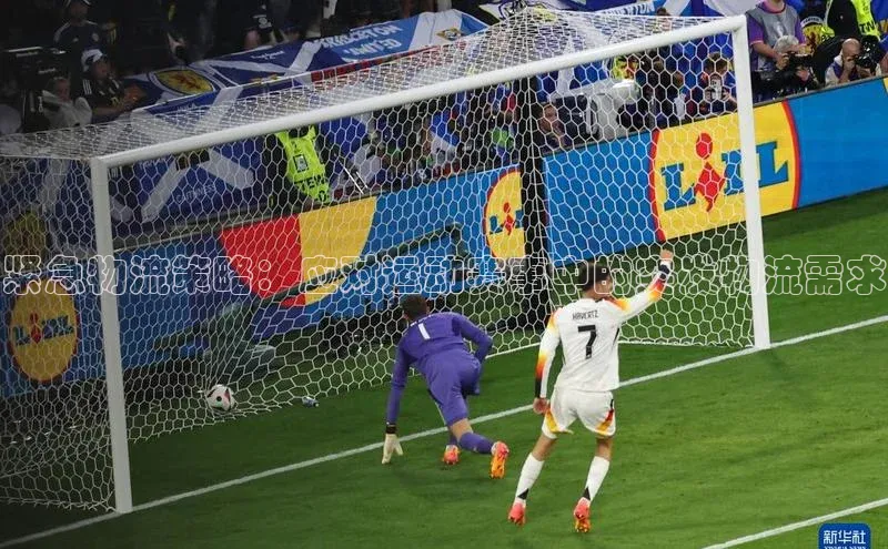 紧急物流策略：应对运动赛事中的突发物流需求