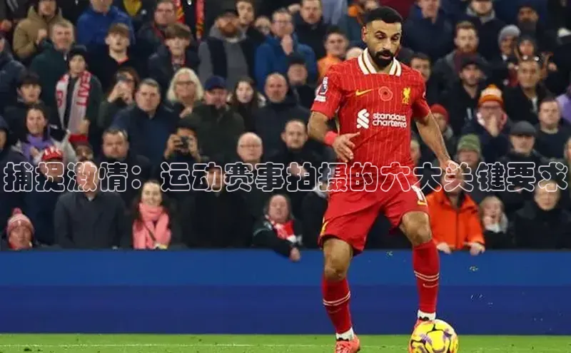 333体育官网在线登录