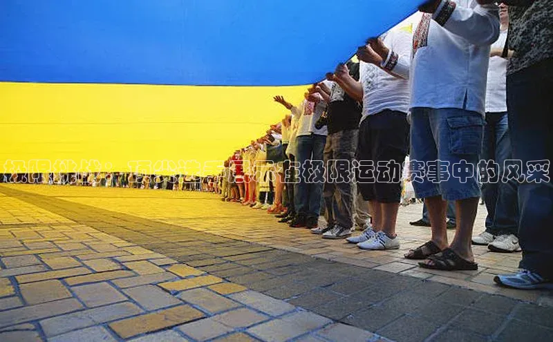 333体育平台官网