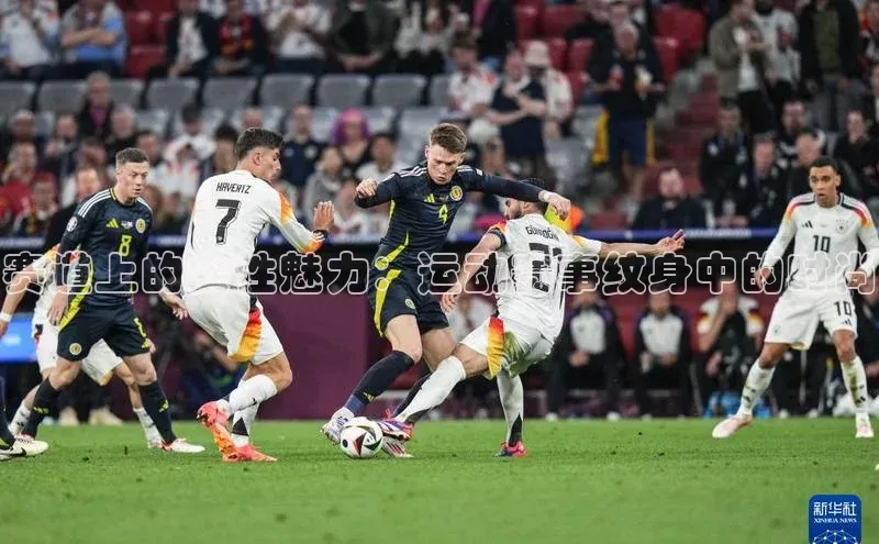 333体育官网入口